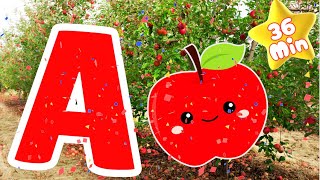 Alphabet Song Compilation 36 Min I A is for Apple a a apple I ABC Animals Song [upl. by Notsob330]