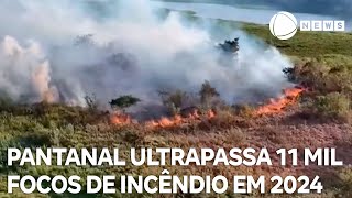 Pantanal ultrapassa 11 mil focos de incêndio em 2024 [upl. by Adnuahsar399]