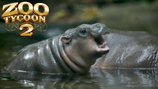 Zoo Tycoon 2 Pygmy Hippopotamus Exhibit Speed Build [upl. by Pilloff]