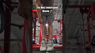 The Most Undertrained Muscle  Tibialis Anterior [upl. by Navlys]