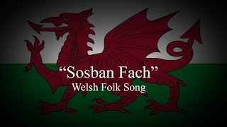 quotSosban Fachquot Little Saucepan  Welsh Folk Song [upl. by Nevad]