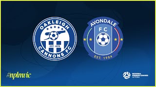 2024 NPLMVIC Oakleigh Cannons FC v Avondale FC [upl. by Ibor]