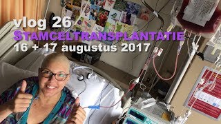 VLOG 26 De allogene stamceltransplantatie is gelukt Hopelijk weg Leukemie amp Myelofibrose MDS MPS [upl. by Vidal]