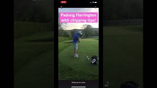 Padraig Harrington with some chipping tips golf padraigharrington livgolf [upl. by Alleber420]