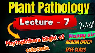 lecture7 Phytophthora blight of colocasia  Phytophthora blight  Plant pathology 5th semester [upl. by Higley]