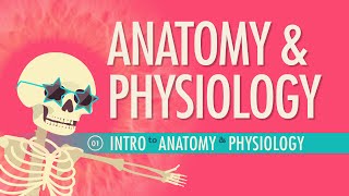 Introduction to Anatomy amp Physiology Crash Course Anatomy amp Physiology 1 [upl. by Acireh588]