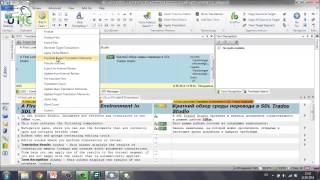 UTIC2014 Мастеркласс SDL Trados Studio 2014 SP1 Татьяна Виноградова [upl. by Kellsie]