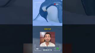 Fotografos hacen empatia por los pingüinos 🥳🤯lasmascotasdeadri pinguinos animales historiareal [upl. by Stegman518]