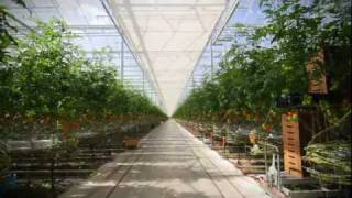 Ontario Greenhouse [upl. by Larson]