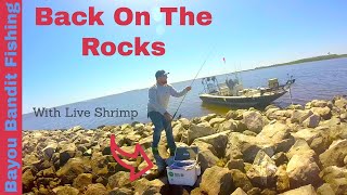 SHEEPSHEAD FISHING in Pascagoula Mississippi [upl. by Netneuq]