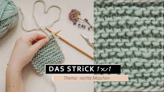 Rechte Maschen stricken lernen  kraus rechts Stricken das einfachste Strickmuster 3 das Strick 1x1 [upl. by Armahs999]