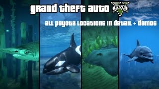 gta 5 all peyote plant detailed locations and demo of each animals features and abilities [upl. by Treulich435]