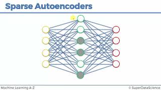 24 Sparse AutoEncoders [upl. by Ullund930]