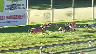 Capalaba21072024Race10 [upl. by Madai237]