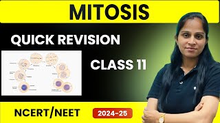 Mitosis Quick Revision  Class 11  NEET 202425 Preparation  Cell Cycle amp Cell Division [upl. by Ainud]