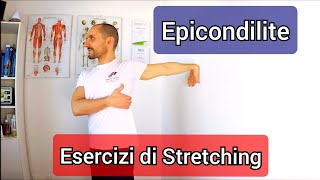 EPICONDILITE Esercizi di stretching [upl. by Slayton770]