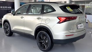 GWM Haval H6 2024 indepth Walkaround [upl. by Brotherson]