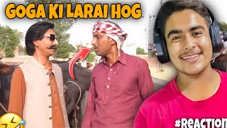 Goga Pasroori Kama😂  Saleem Albela as Chaudary  Goga Pakistani Comedy [upl. by Greyson715]