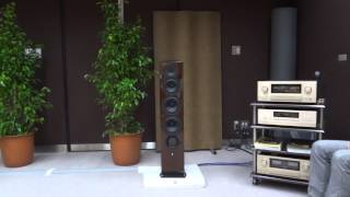 REVEL AUDIO F206 [upl. by Akinyt]