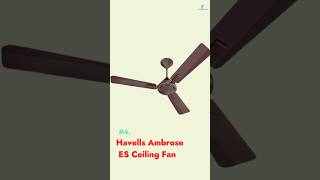 Havells Ambrose ES Ceiling Fan  Best Ceiling Fan in India 2024 shorts fan homeappliance home [upl. by Llerdnek]