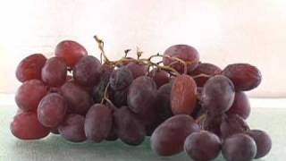 Grapes to Raisins Time Lapse [upl. by Halilad]