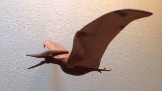 Pteranodon longiceps a giant flying reptile [upl. by Dragone]