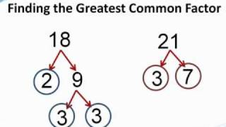 How To Find The LCM of 3 Numbers  Plenty of Examples [upl. by Eilyac461]