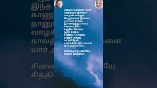 சின்னஞ்சிறு கிளியே song lyrics spb ilayaraja 80s90shit sjanaki மயிலே உன்னை நான் [upl. by Neevan]