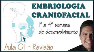 EMBRIOLOGIA  REVISÃO DA 1ª A 4ª SEMANA DE DESENVOLVIMENTO EMBRIONÁRIO [upl. by Ekaterina535]