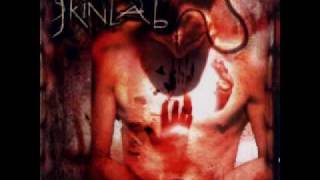 Skinlab  No Sympathy For The Devil [upl. by Oakman]