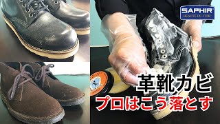 【失敗しない丸洗い】革靴に繁殖するカビの原因と、革を傷めない洗浄テクニック！【サフィール】 [upl. by Nyahs]