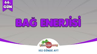 📌66GÜN l Bağ Enerjisi🤓 Kimya Adası aytkimya [upl. by Singhal]