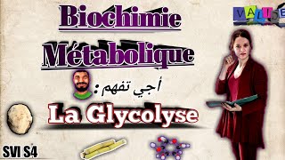 Biochimie métabolique partie des glucides la glycolyse SVI S4 en arabe [upl. by Eterg]