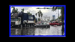 Florida will lose 6000 historic sites to sealevel rise by 2100 scientists warn [upl. by Annawaj]