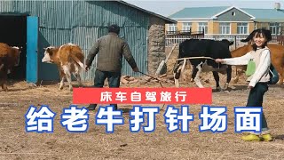 给谁打针用“铜质”的注射器？这场面你应该没见过。 [upl. by Ytsirhk]