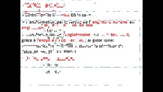 Histologie de lappareil urinaire 2 [upl. by Onaled725]