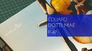 Eduard 132 Dottie Mae EduART 11103 Review [upl. by Uon983]