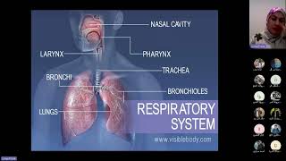 Asthma Lecture Definition Pathophysiology and Phenotypes [upl. by Lipcombe]