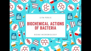 Biochemical Actions of Bacteria [upl. by Vachil969]