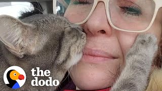 Clingy Cat Goes Everywhere With Mom  The Dodo [upl. by Alaet]