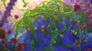 Inner Life of a Cell  Protein Packing Animation [upl. by Jule]