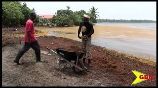 Sargassum Conference [upl. by Hanselka]