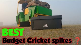 best budget cricket shoes you can buy under 5000  adidas cricket spikes  eym cricket [upl. by Einatsed]