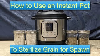 Instant Pot Sterilization of Rye Grain for Spawn  Home Mushroom Growing  How To Procedure [upl. by Haron]