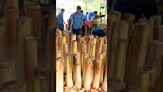 Edible Dwarf Coconut Tree  Coconut Tree Cutting Skills [upl. by Earehs]