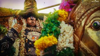 Alagar Festival 2019  Paramakudi Festivel [upl. by Dnartreb]