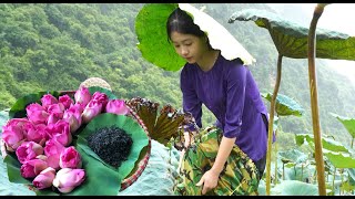 Harvesting Lotus Flowers and Seeds  Making Nutritious Lotus Dessert  Wild Flower [upl. by Annehs400]