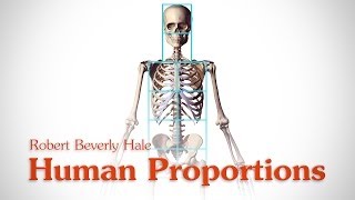 Human Figure Proportions  Cranial Units  Robert Beverly Hale [upl. by Gagne]