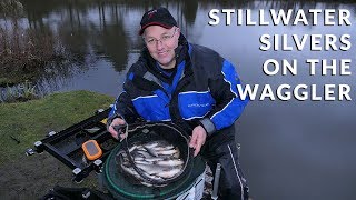 Stillwater Silvers On The Waggler [upl. by Hanser805]