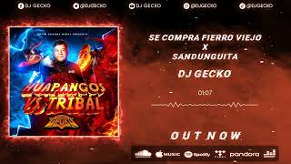 04 Se Compra Fierro Viejo x Sandunguita Tribal Mix  DjGecko [upl. by Kano]